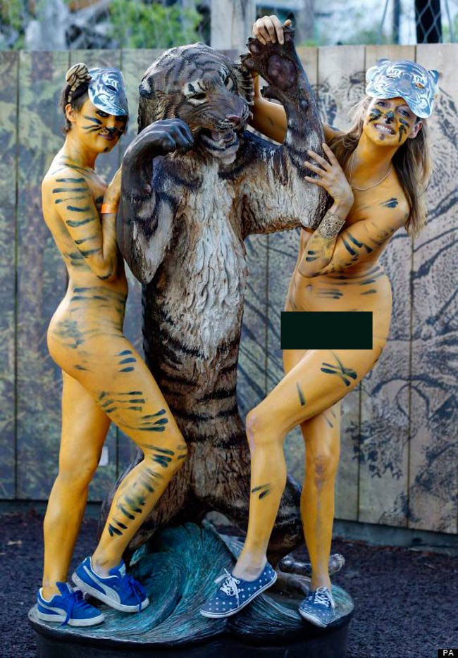 Có những người sơn lên cơ thể hình ảnh chủ đề về hổ.
